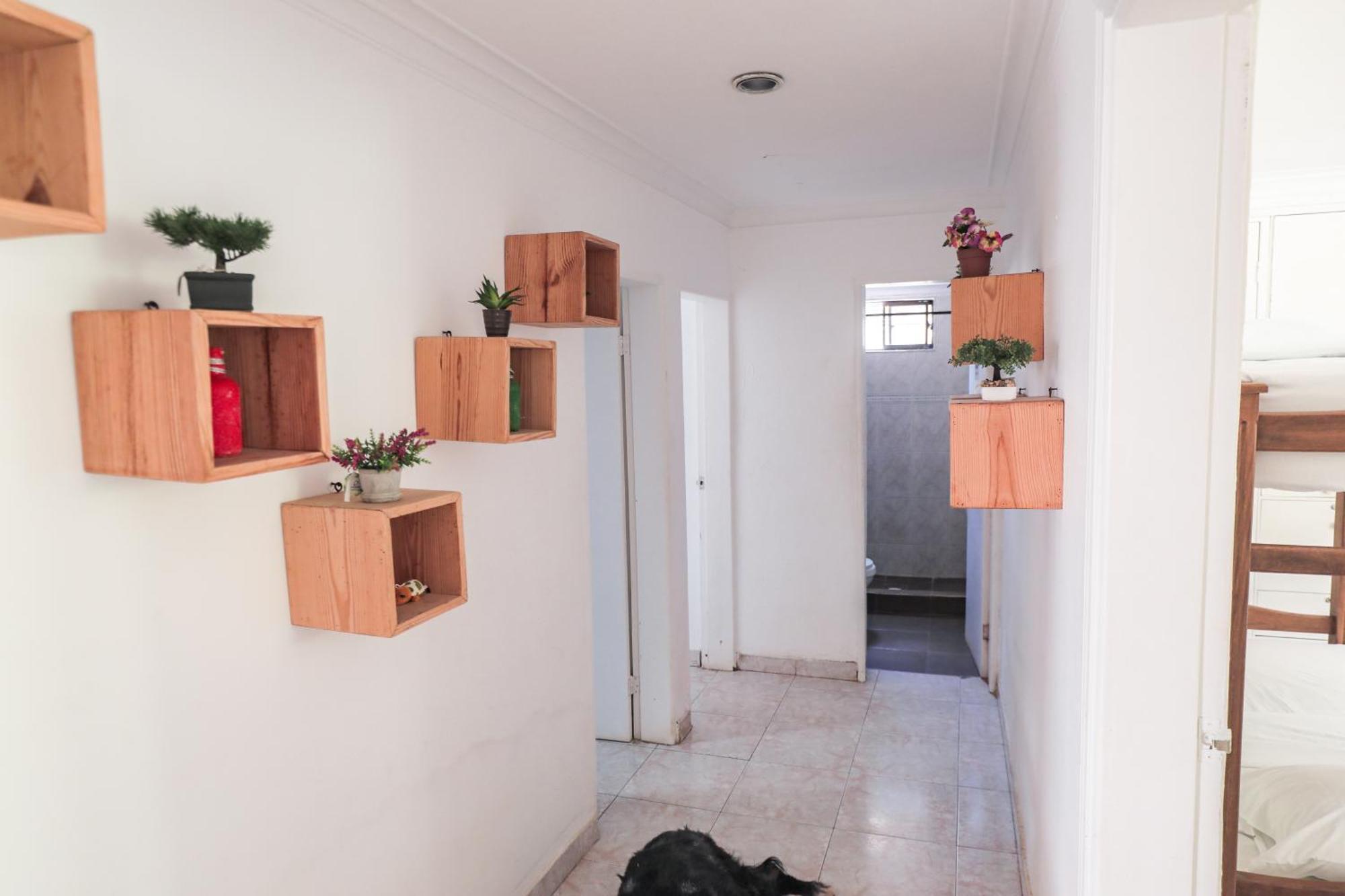 Hostal Palo Alto San Andres  Bagian luar foto